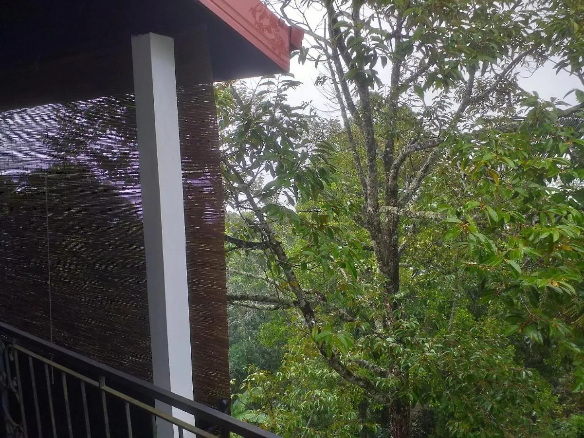 Guest house Villa 95 Rangala Kandy Sri Lanka
